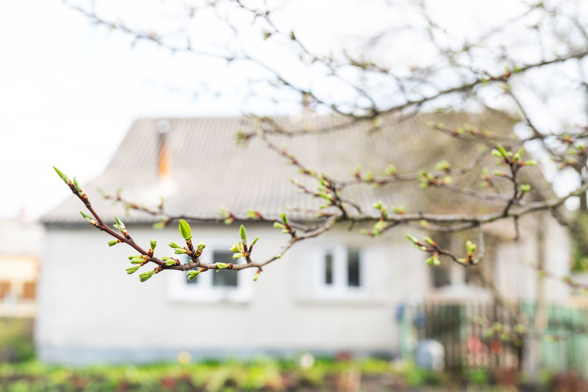 Home in spring.