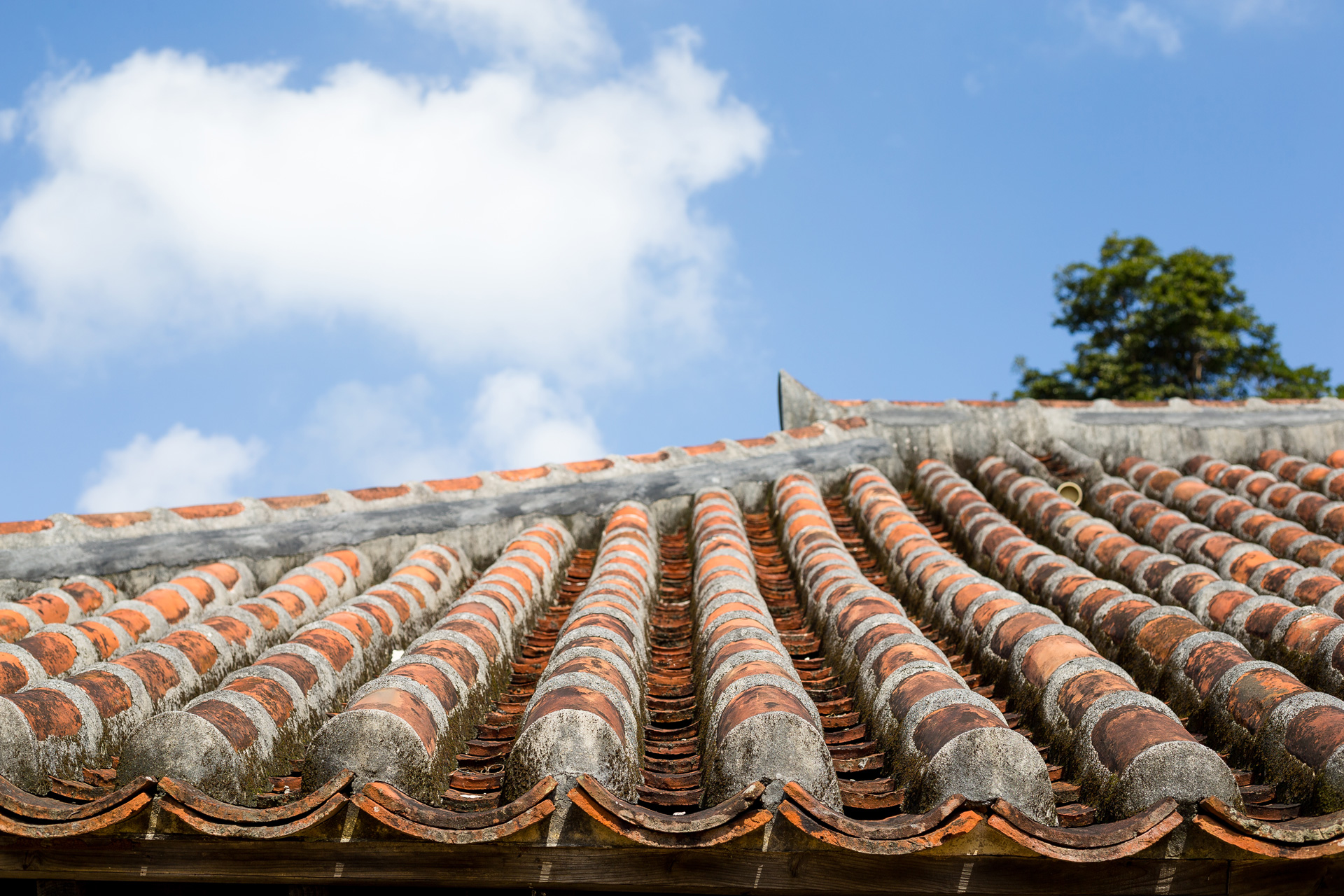 Roof in hot weather.
